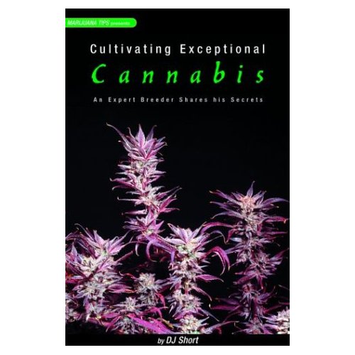 how-to-grow-exceptional-cannabis